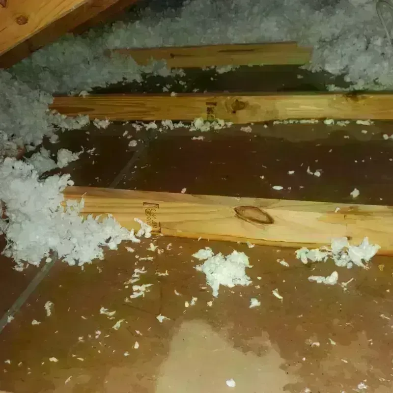 Attic Water Damage in Fontana, WI